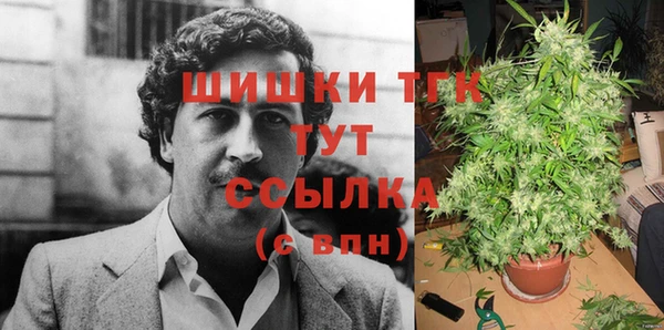 спиды Армянск