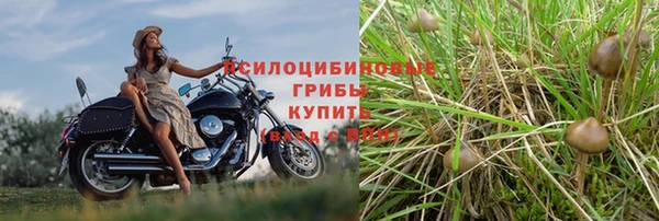 эйфоретик Арсеньев