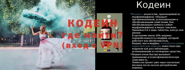 эйфоретик Арсеньев
