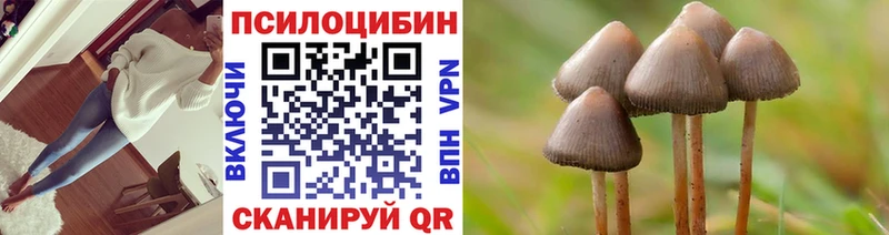 Галлюциногенные грибы ЛСД  закладки  Фрязино 