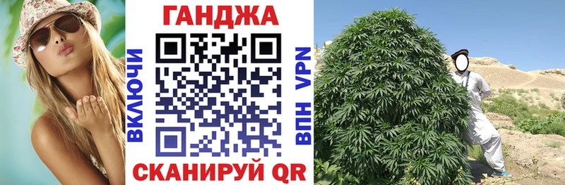 Бошки марихуана гибрид  OMG как зайти  Фрязино 